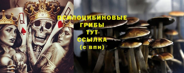 кристаллы Богородицк